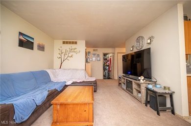 5546 Shaffer Rd NW unit A & B, Warren, OH 44481 - photo 7