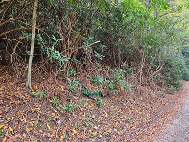 14b Lot Pennington Branch Rd, Damascus, VA 24236 - photo 7