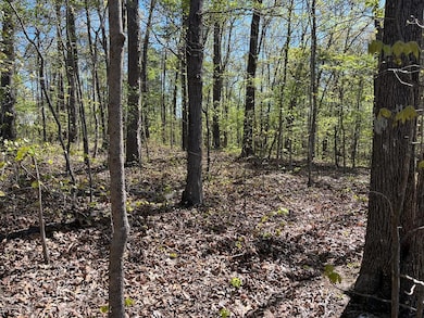 35 acres Lafayette Rd, Rocky Face, GA 30740 - photo 2