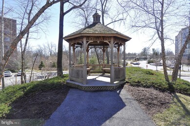 2904 N Leisure World Blvd unit 515, Silver Spring, MD 20906 - photo 4