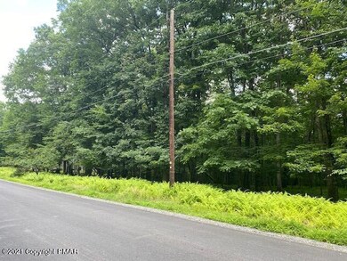 114 Falling Brook Ct, Blooming Grove Township, PA 18428 - photo 2