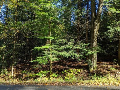 0 Dean Mountain Rd unit 202124233, Hadley, NY 12835 - photo 7