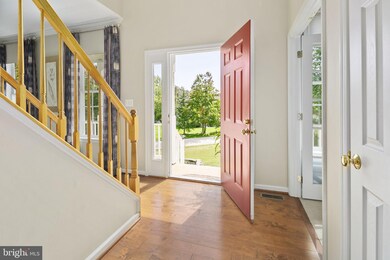 8802 Scott St, Springfield, VA 22153 - photo 7