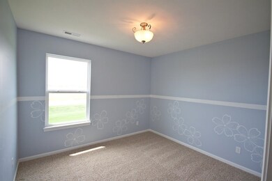 10223 Flagstaff St, Cedar Lake, IN 46303 - photo 6