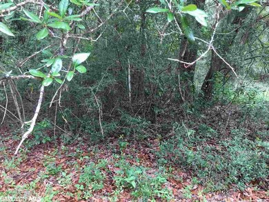 0 New Hope Church Rd, Robertsdale, AL 36567 - photo 7