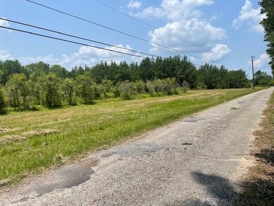 Dead End Road View