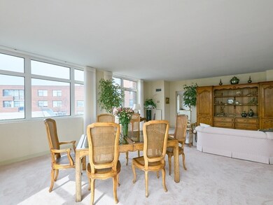 Hampton Place unit 306N, Chestnut Hill, MA 02467 - photo 7