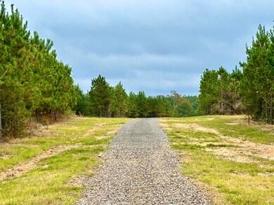 Tract 2C Avalon Lake Ln, Mena, AR 71953 - photo 6