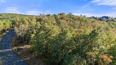 215 Sierra Vista Trail, Broken Bow, OK 74728 - photo 2