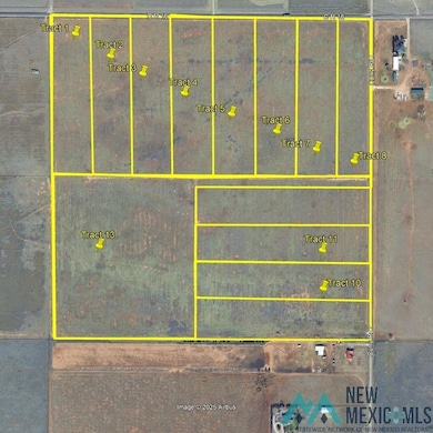 Tract 10 Curry Road I, Clovis, NM 88101 - photo 3
