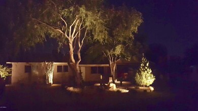 Front Landscape lighting