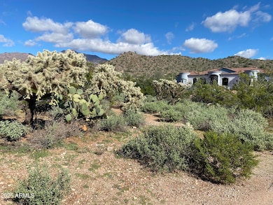 0 E Sunset Peak Rd unit 6951173, Gold Canyon, AZ 85118 - photo 6