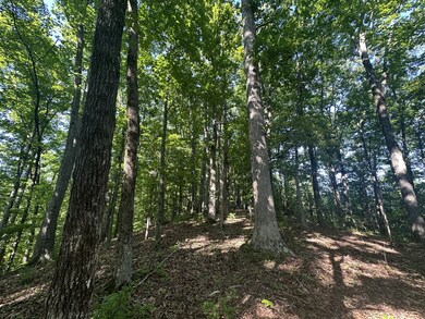 0 Highway 412 E, Linden, TN 37096 - photo 4