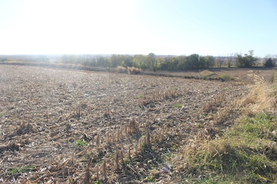 613 Clark St, Oakland, IA 51560 - photo 3