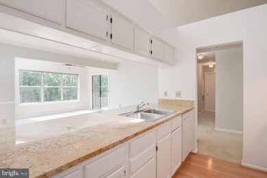 14101 Fall Acre Ct unit 12, Silver Spring, MD 20906 - photo 5