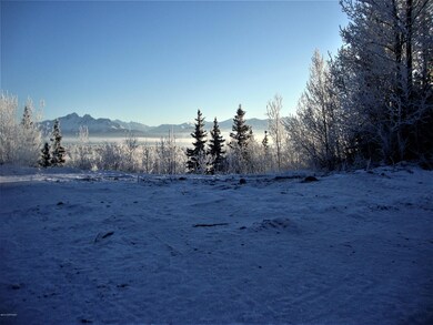DSC00897 (2)