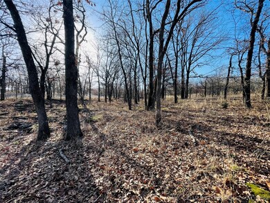 11615 Dentonville Rd, Okmulgee, OK 74447 - photo 6