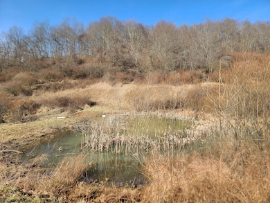 1931 Saint Leo Rd, Wadestown, WV 26590 - photo 5