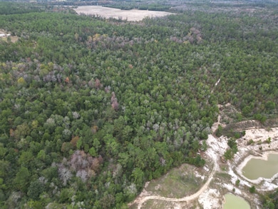 2839 Highview Cir, Chipley, FL 32428 - photo 5