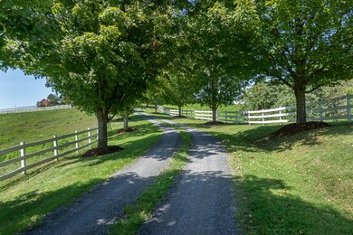 Tree Lined Drive