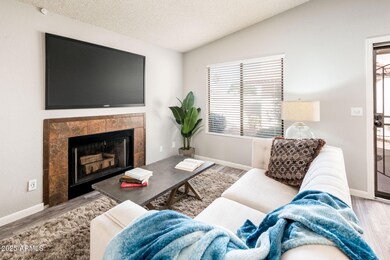 2940 N Oregon St unit 9, Chandler, AZ 85225 - photo 4