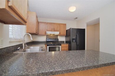 Faux granite laminate counter tops