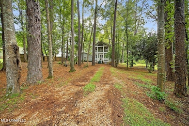 4197 Highway 48 W, McComb, MS 39648 - photo 2