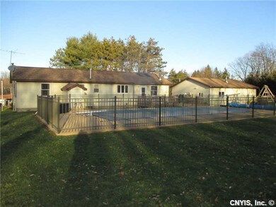 Backyard. Excellent Spacious back yard that just s