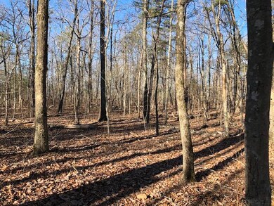 Middle of property2