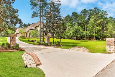 28732 Pleasant Forest, Magnolia, TX 77355 - photo 3