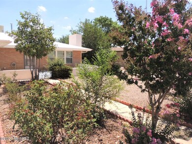 Beautiful front yard