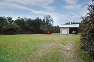 982 E Bismark St, Hernando, FL 34442 - photo 5