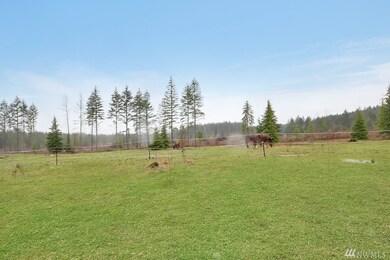 929 366th St E, Roy, WA 98580 - photo 5