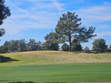 650 N Hawes Rd unit 2000, Mesa, AZ 85207 - photo 7