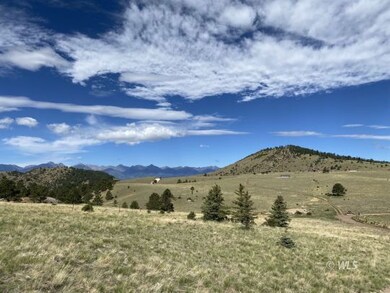 0 000 unit 2517439, Westcliffe, CO 81252 - photo 5