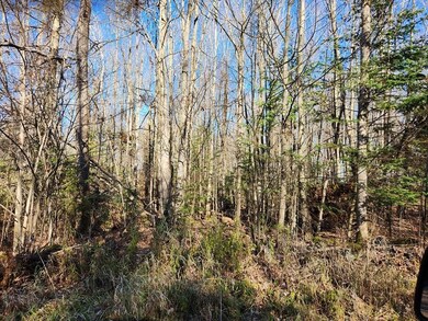 W6926 Mae Rd W, Ladysmith, WI 54848 - photo 5