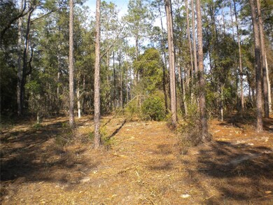 LOT 24 SW Timberlake Rd, Dunnellon, FL 34431 - photo 5