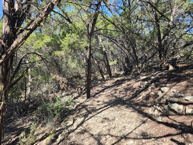 20702 Oak Ridge, Lago Vista, TX 78645 - photo 5