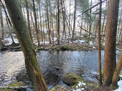River at the Rear of the Property