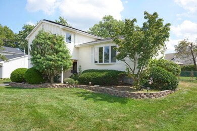 Mature Landscaping
