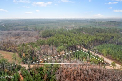 XXX White Rd unit 1.14 Acres, Chipley, FL 32428 - photo 3
