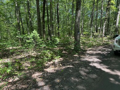 39 Irish Ln, Rutland, MA 01543 - photo 6