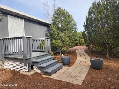 Front Steps