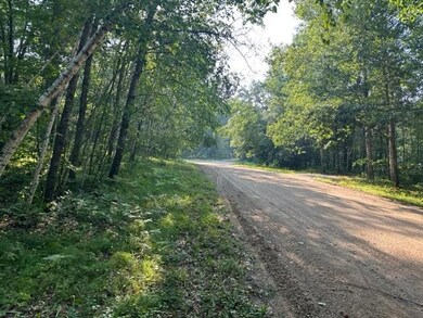 xxx Maya Cir, Breezy Point, MN 56472 - photo 3