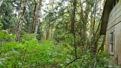 1 Zion View Ln, Quilcene, WA 98376 - photo 7