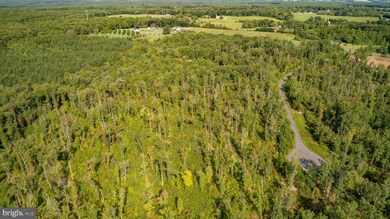 15A Joshuas Way, Unionville, VA 22567 - photo 6