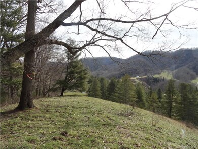 000 Possum Trot Rd, Burnsville, NC 28714 - photo 2