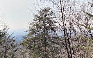Additional View