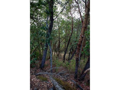 0 North Ct unit 594381467, Riddle, OR 97469 - photo 2