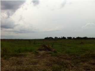 0 Prudhomme Rd, Eunice, LA 70535 - photo 4